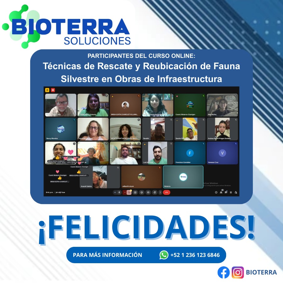 Galería Bioterra 2