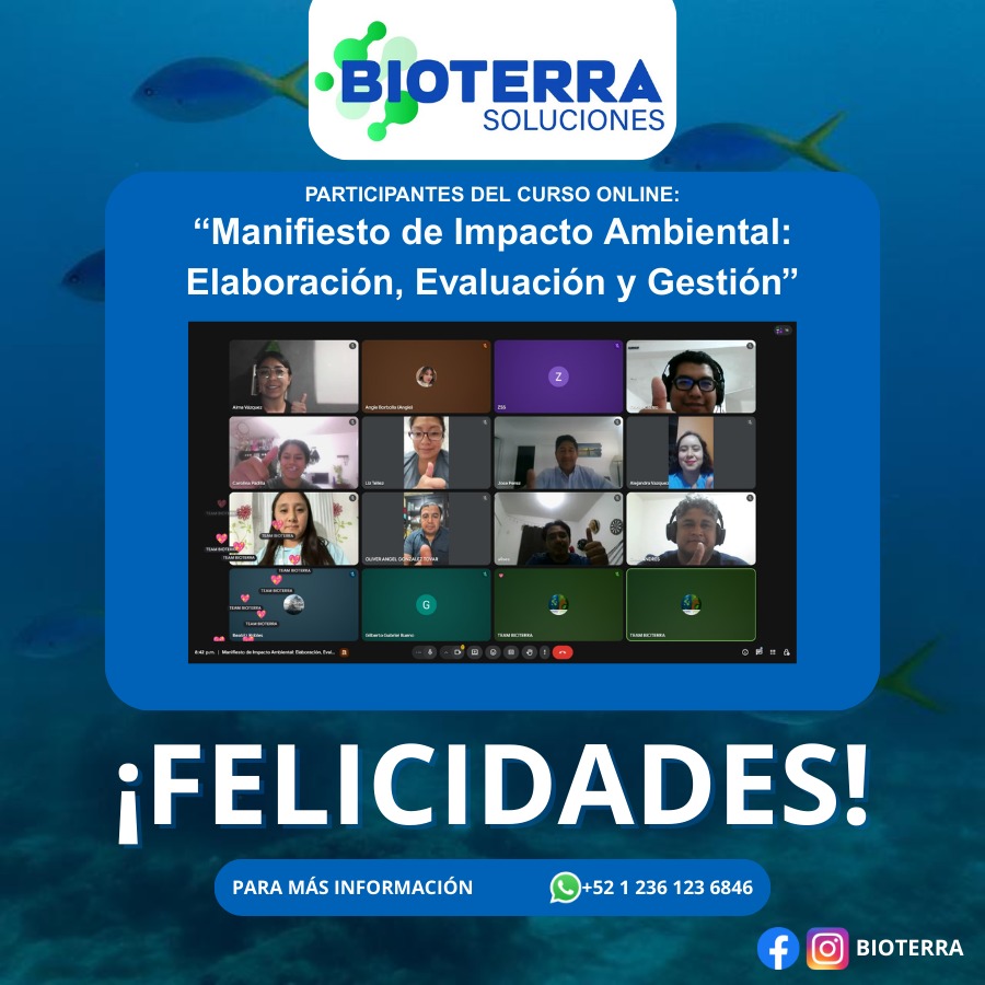 Galería Bioterra 8